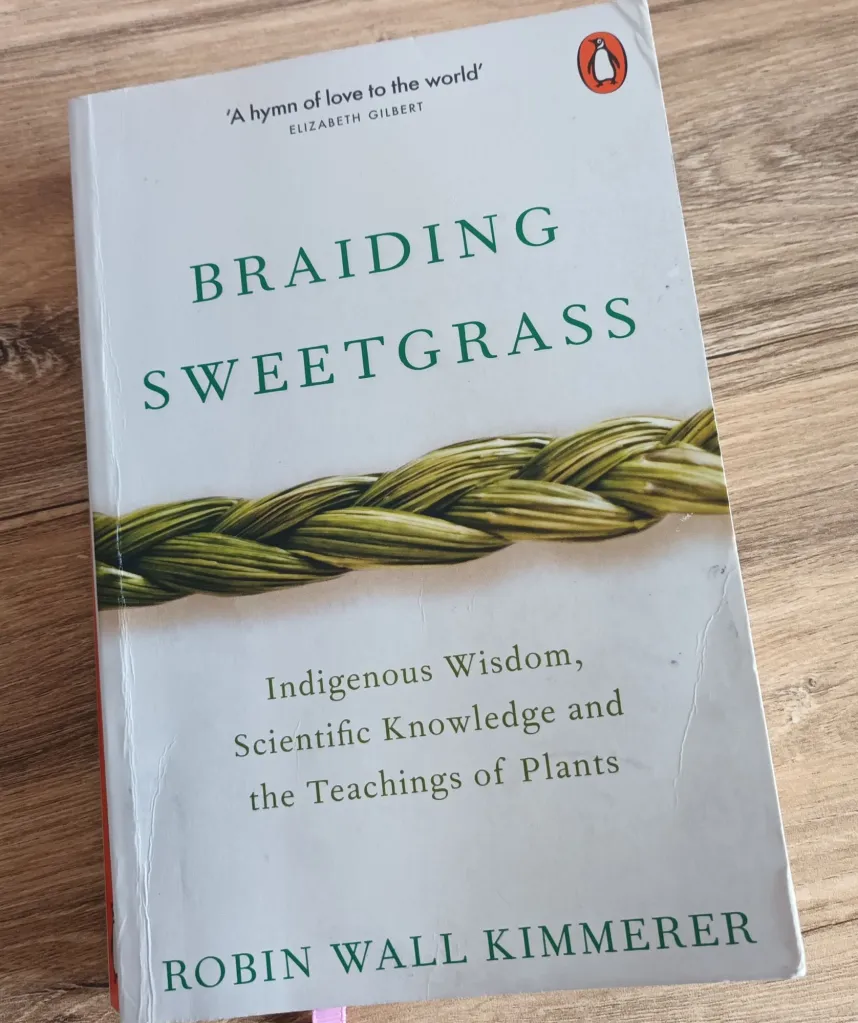 A paperback copy of Braiding Sweetgrass by Robin Wall Kimmerer sitting on my desk